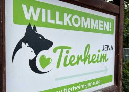 25 Jahre Tierheim In Jena Jubilaeum Mit Grossem Fest Gefeiert 01